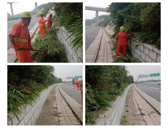 路容路貌.jpg