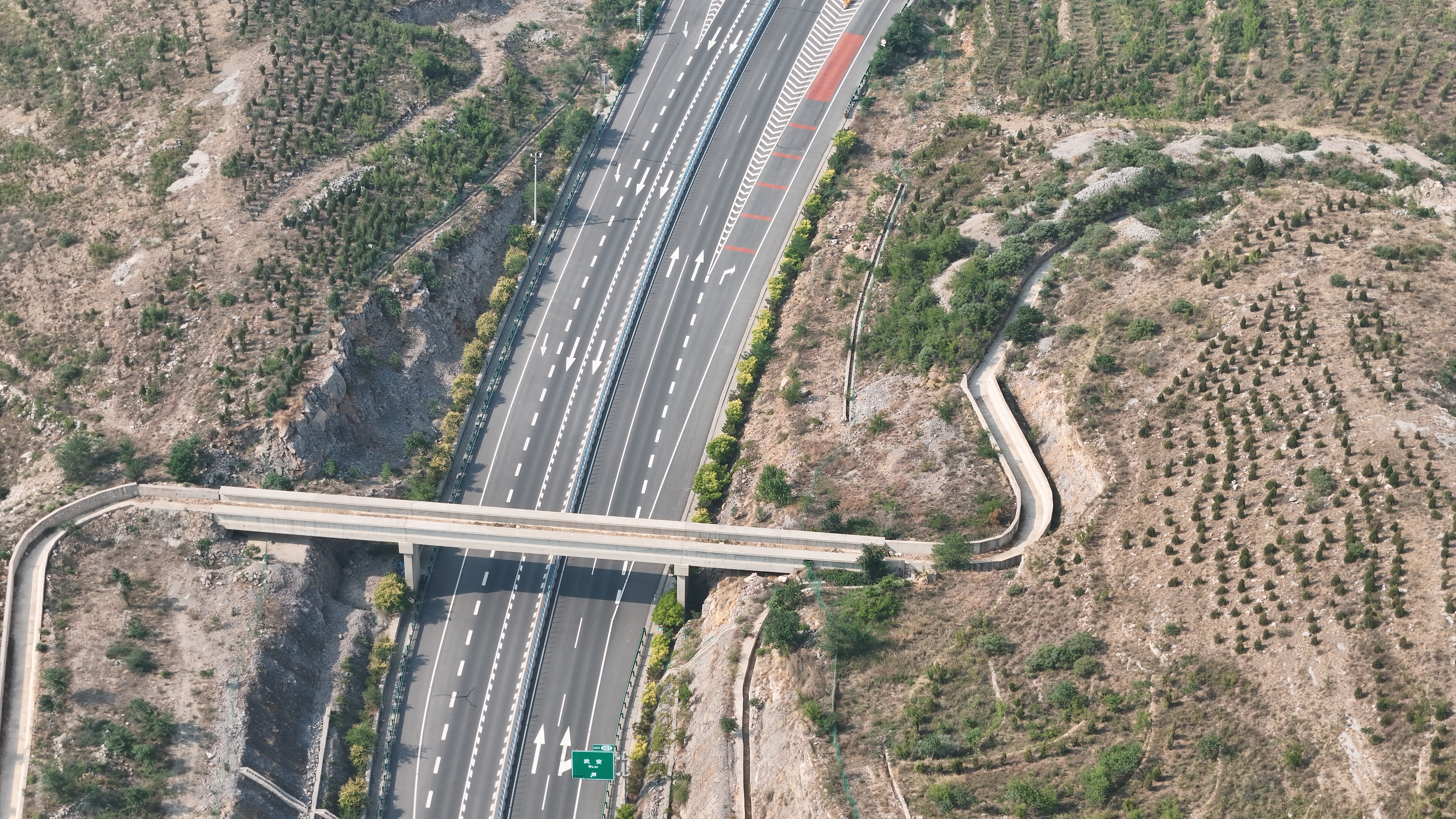 DJI_20240606084618_0115_D.JPG