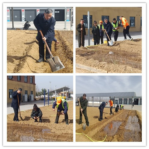 爬山虎_副本.jpg 爬山虎_副本.jpg