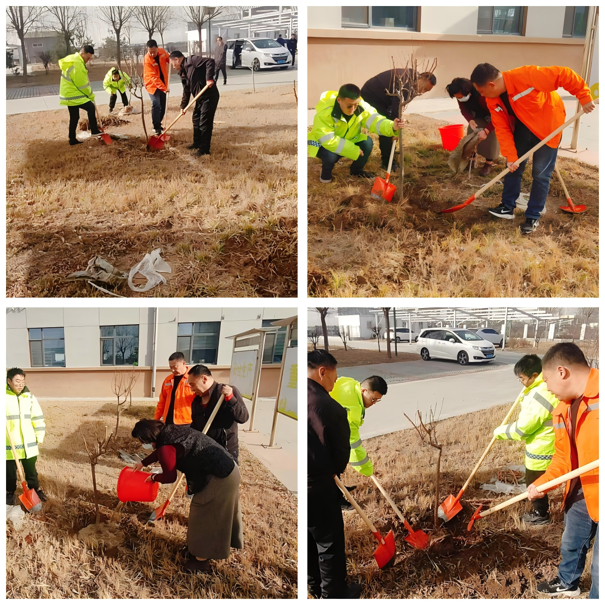 任丘工区植树节活动.png