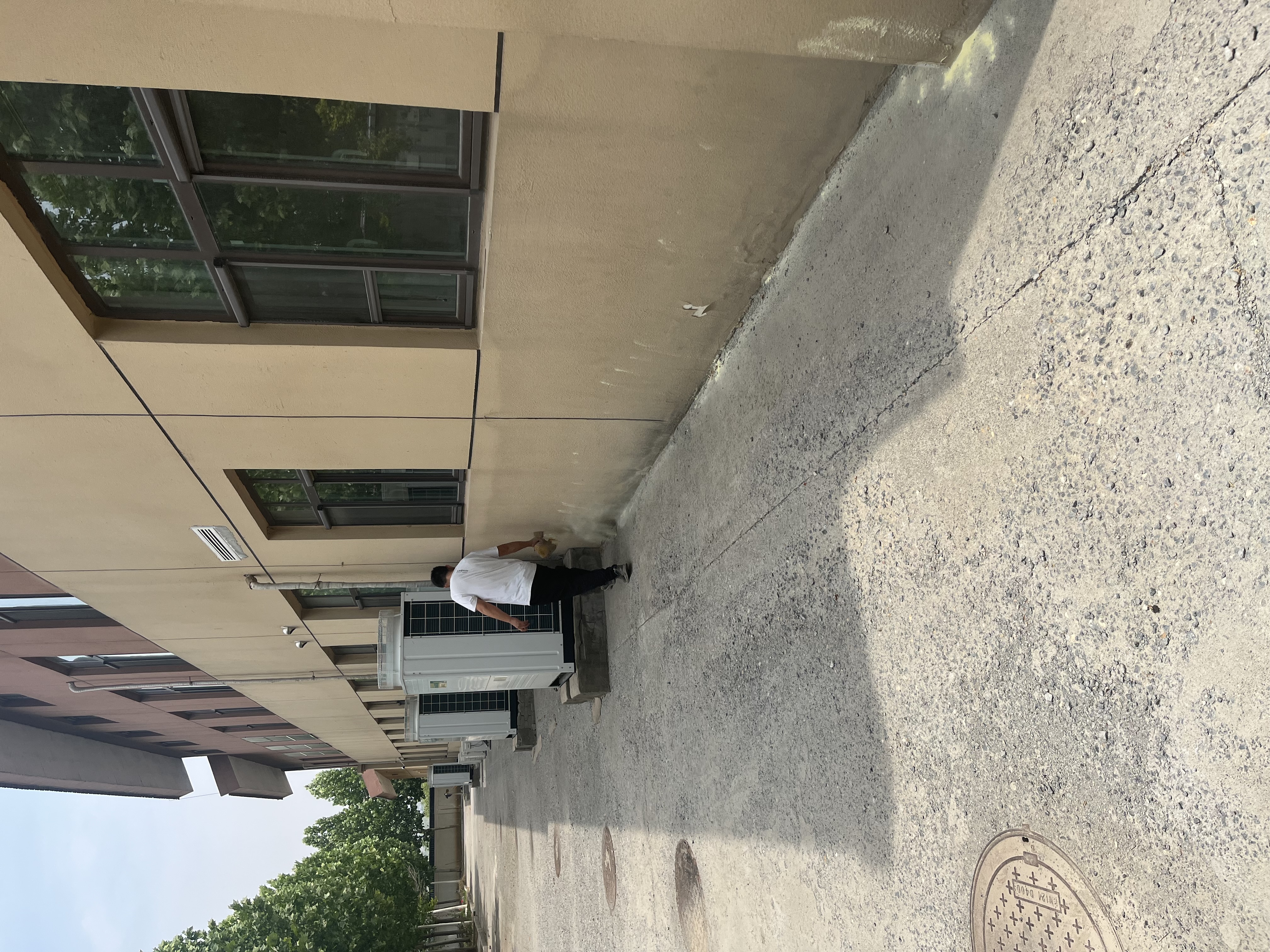 IMG_7310.jpeg IMG_7310.jpeg