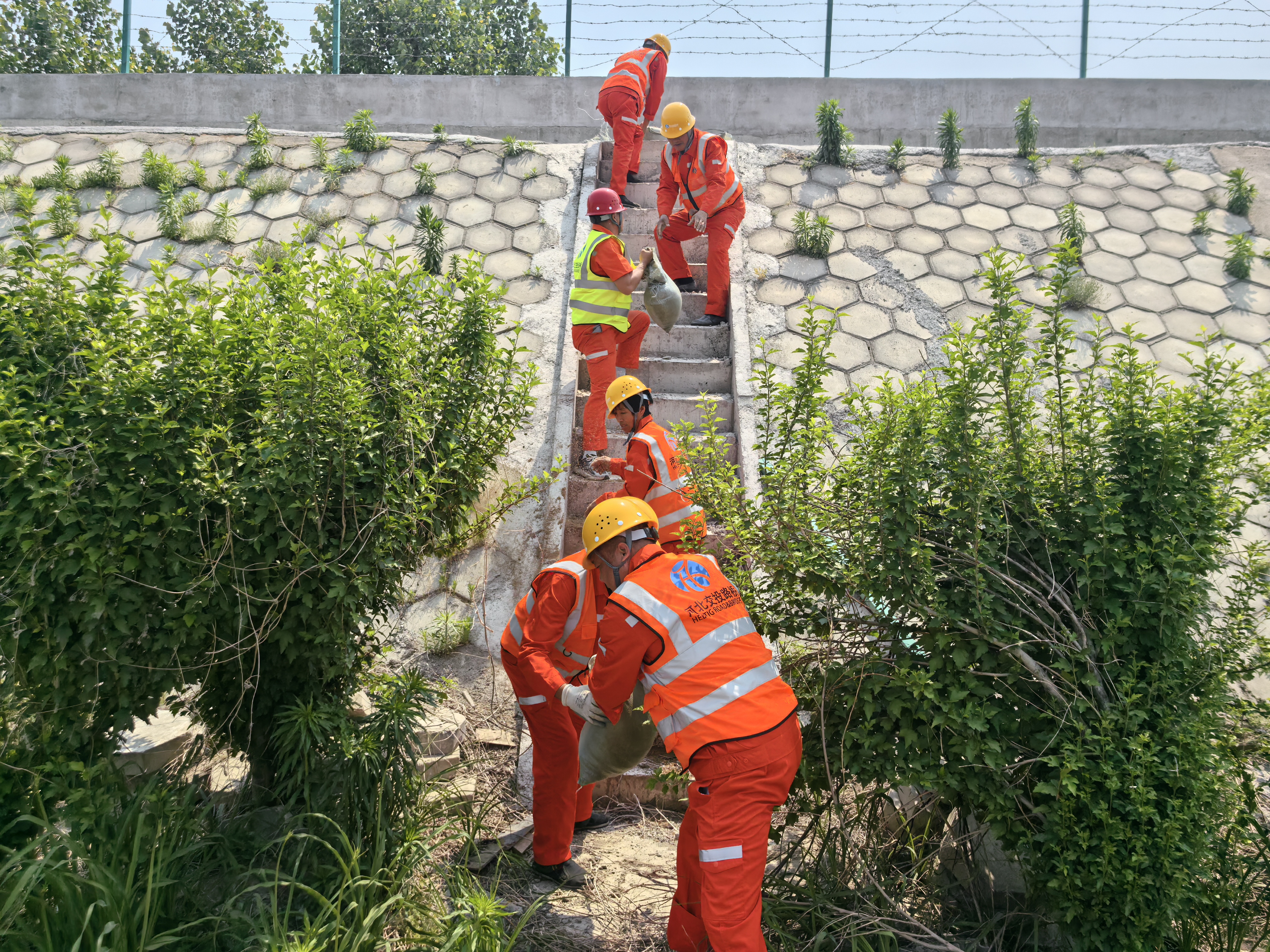边坡加固.jpg